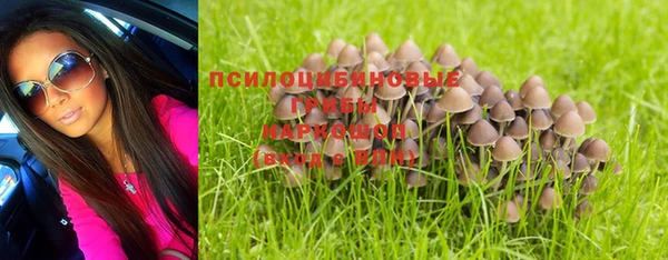 прущие крисы Абдулино